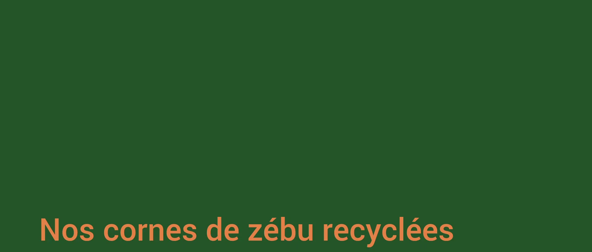 Charger la vidéo : 